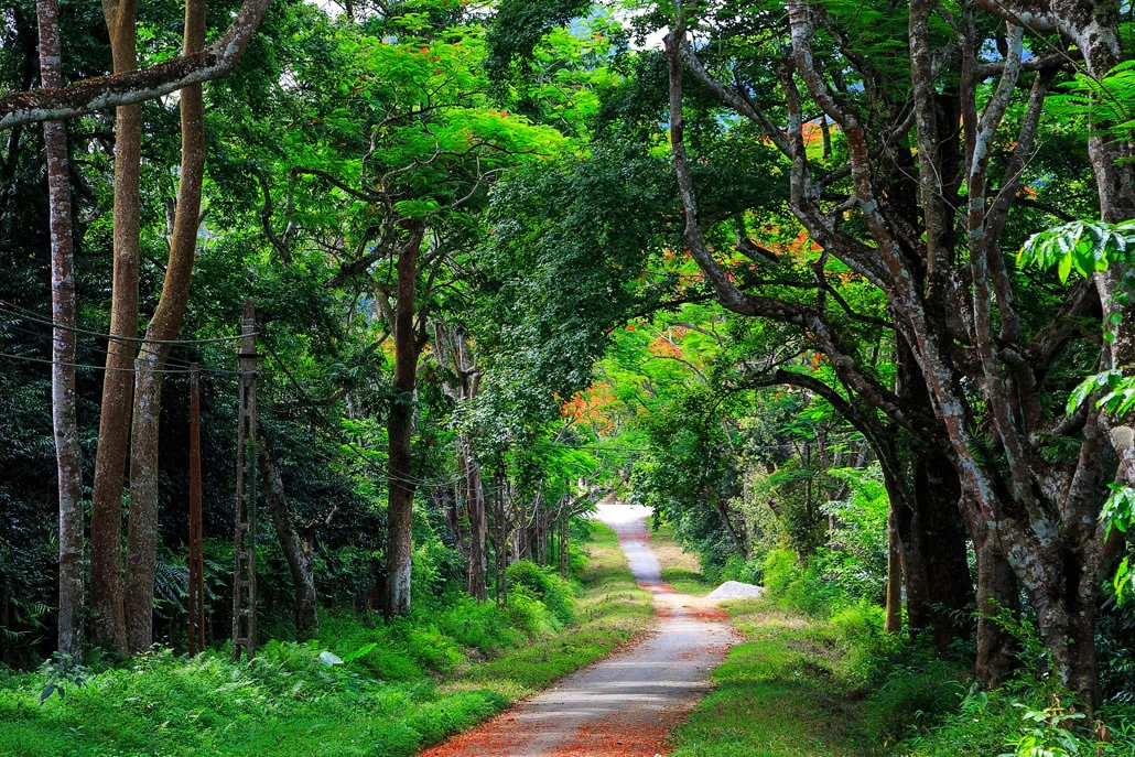 Cuc Phuong Day Trip from Hanoi